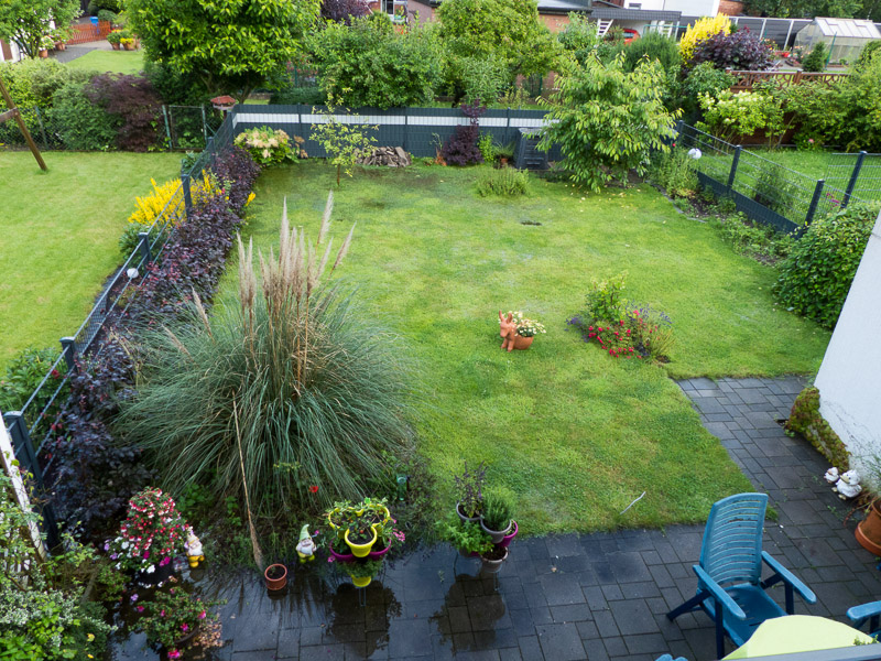 Blick auf den ziemlich nassen Garten