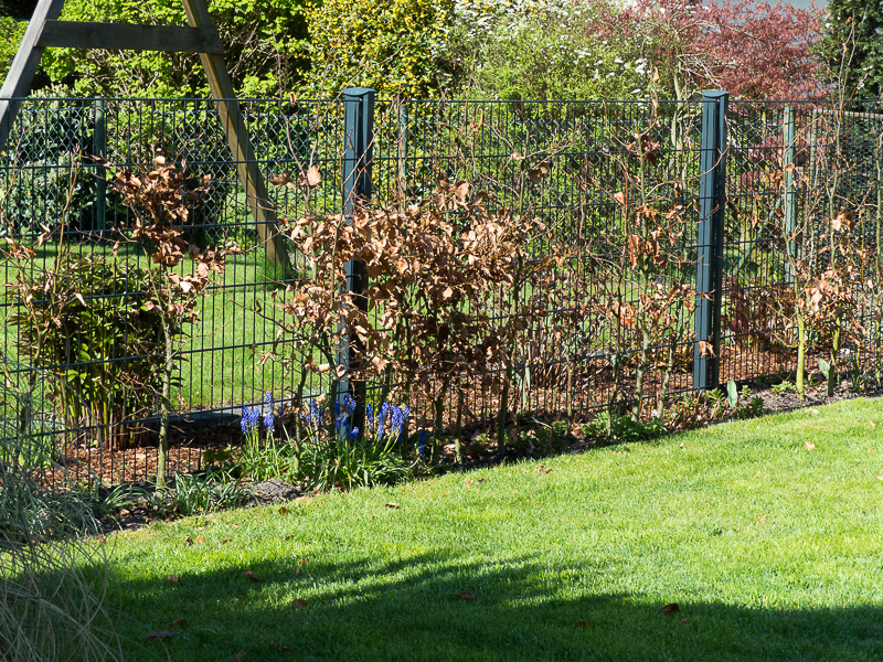 Bei der Hecke ist noch Herbst