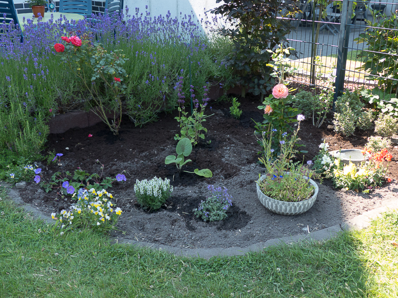 Terrassenbeet mit neuer Bepflanzung