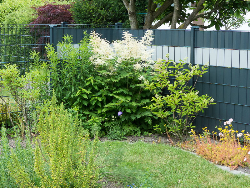 Blick zur linken Gartenecke, der Kruschelecke