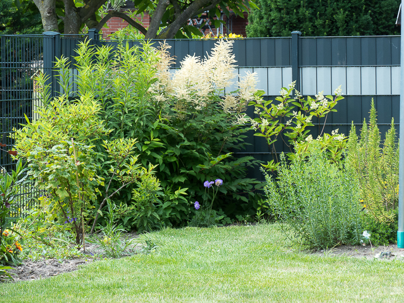 Blick zur linken Gartenecke, der Kruschelecke