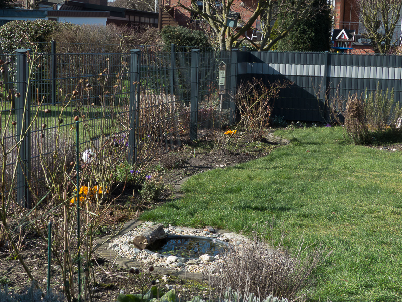 Die linke Gartenseite, nun ohne Buchenhecke