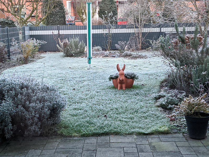 Frostiger Garten