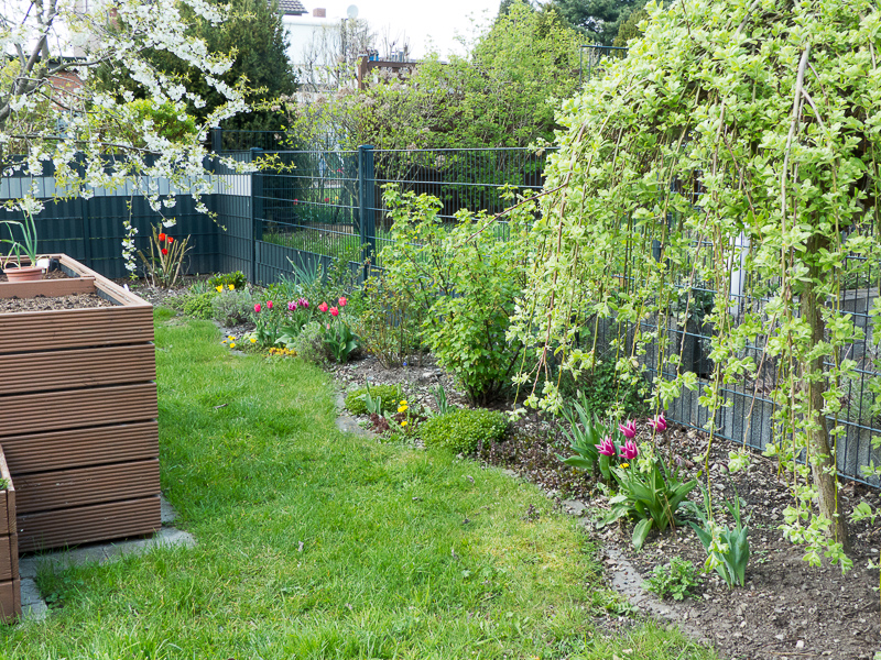 Blick zur rechten Gartengrenze