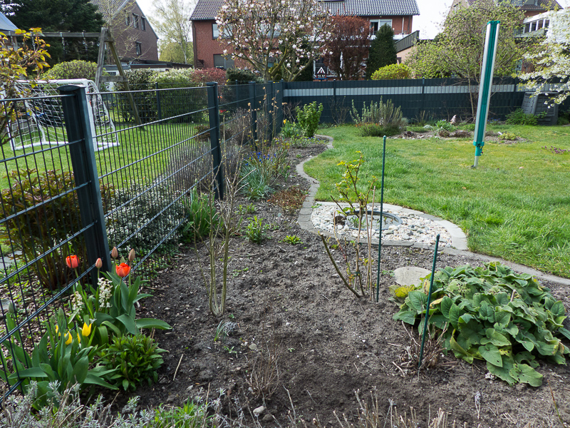 Blick zur linken Gartengrenze