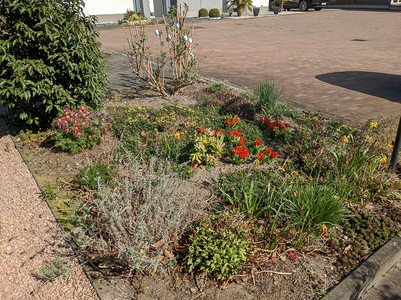 Der Vorgarten von der Haustür aus gesehen