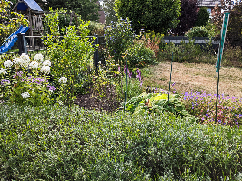 Blick in den Garten