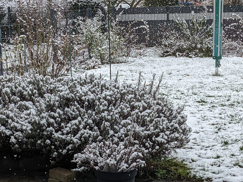 Schnee am 8. März